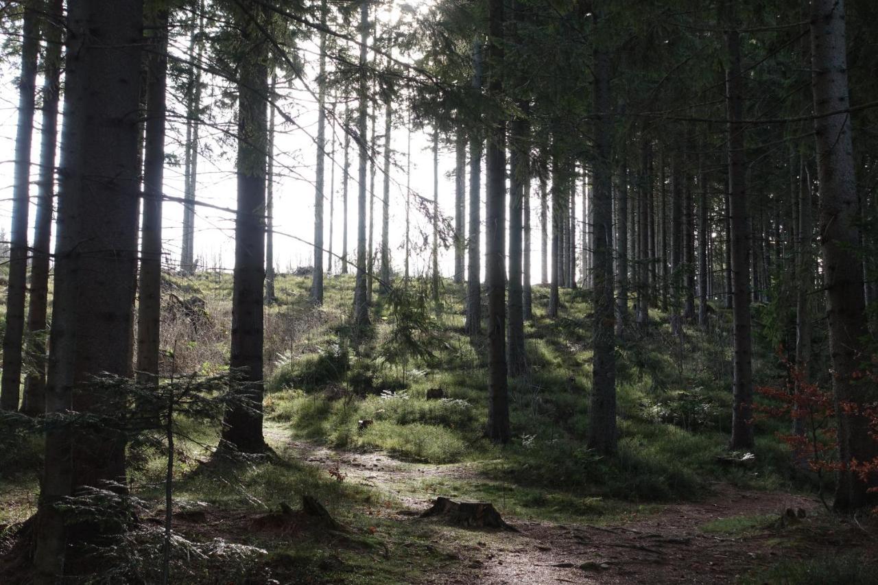 Apartmán Kamzík Donovaly Exteriér fotografie