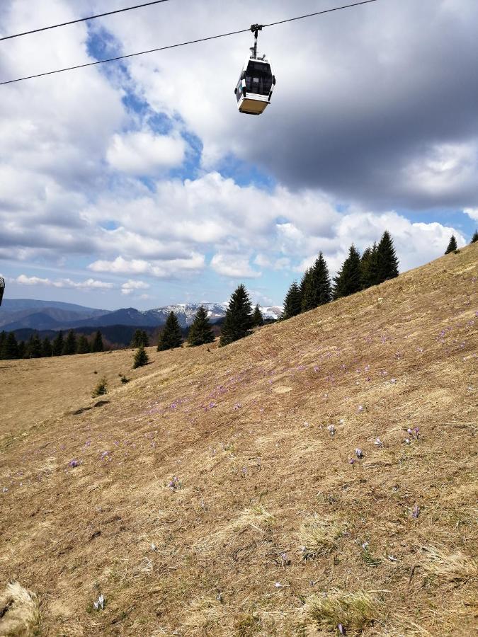Apartmán Kamzík Donovaly Exteriér fotografie